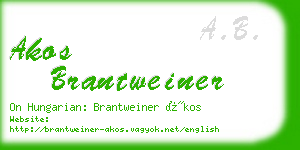 akos brantweiner business card